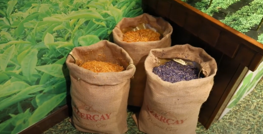 Kinderlandde-Azercay--Cay-diyari